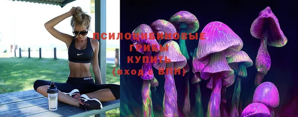 apvp Абдулино